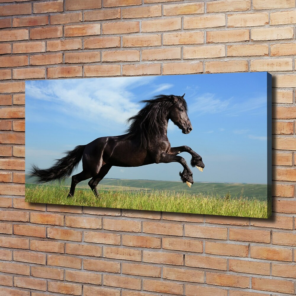 Tableau mural sur toile Cheval noir dans un pré