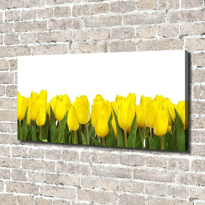 Tableau imprimé sur toile Tulipes jaunes