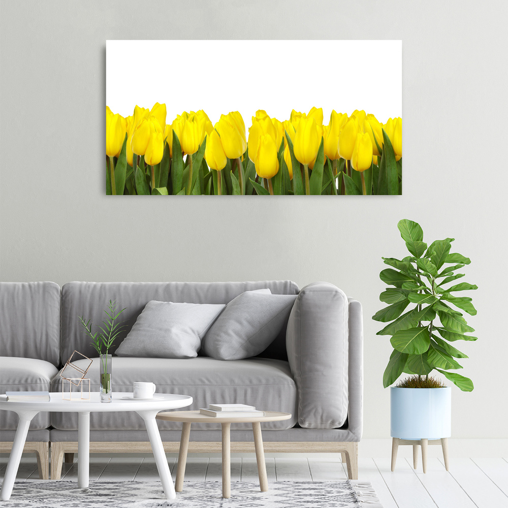 Tableau imprimé sur toile Tulipes jaunes