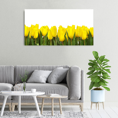 Tableau imprimé sur toile Tulipes jaunes