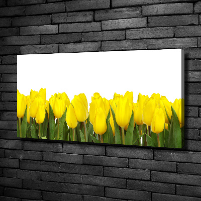 Tableau imprimé sur toile Tulipes jaunes