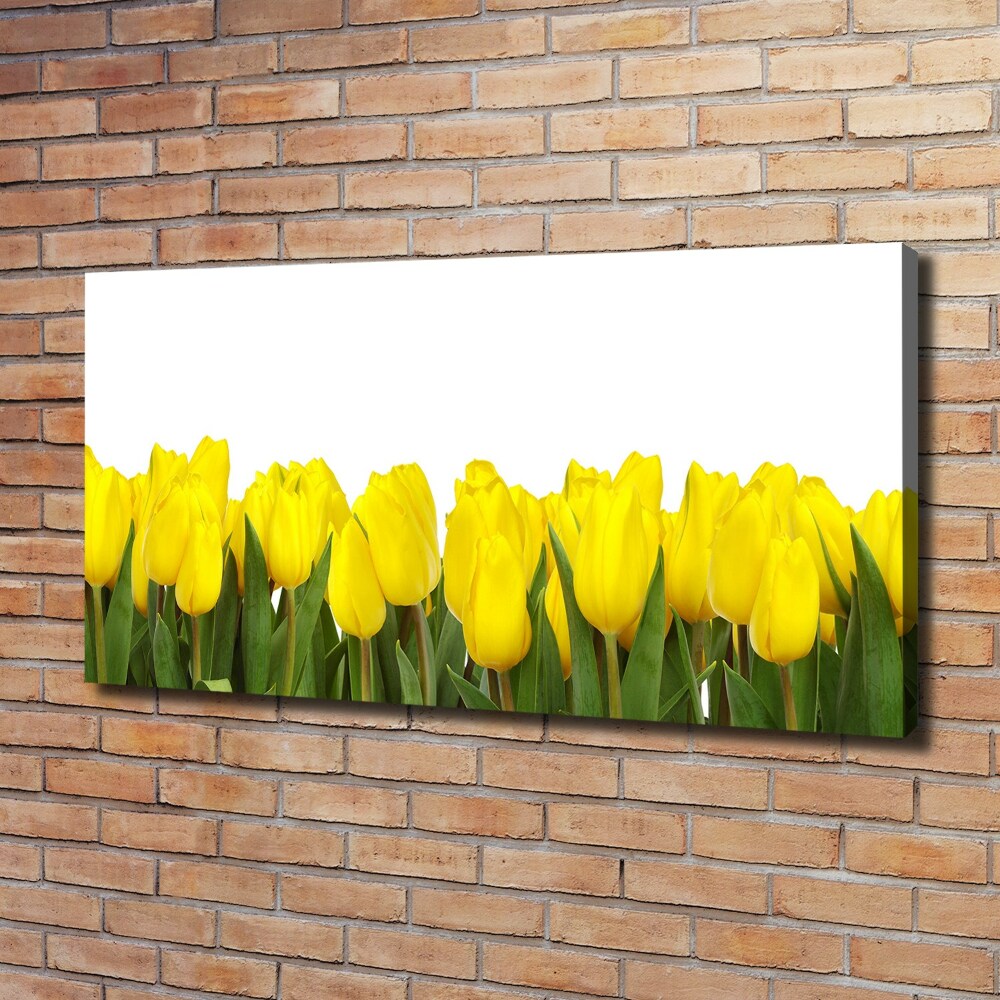 Tableau imprimé sur toile Tulipes jaunes