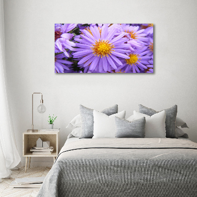 Tableau photo sur toile Astra