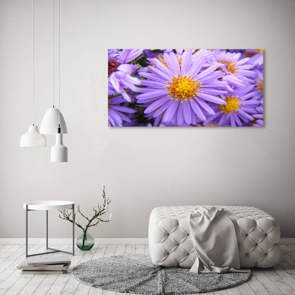 Tableau photo sur toile Astra