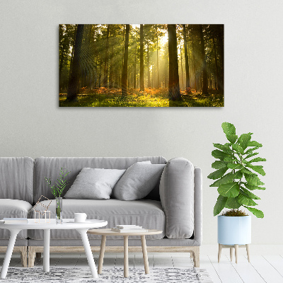 Tableau toile imprimée La forêt sous le soleil