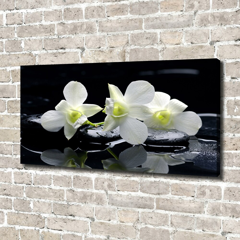 Tableau photo sur toile Fleur de l'orchidée