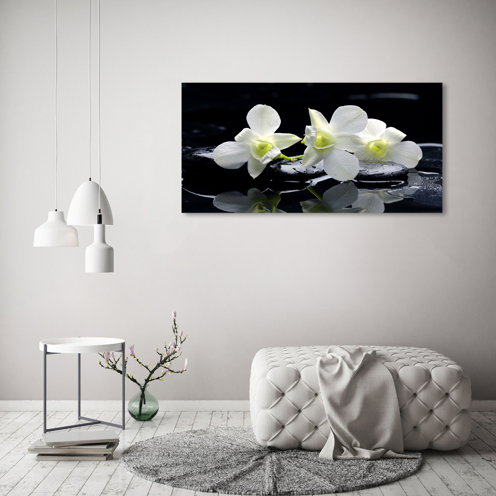 Tableau photo sur toile Fleur de l'orchidée