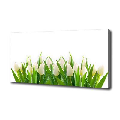 Tableau photo sur toile Tulipes blanches