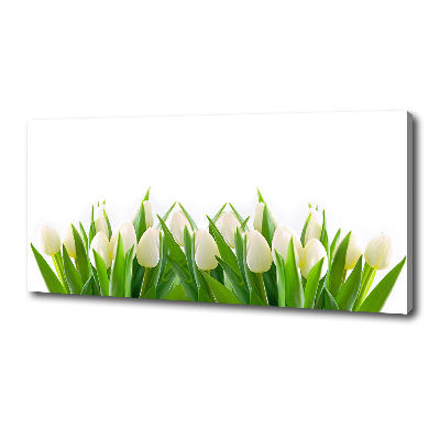 Tableau photo sur toile Tulipes blanches