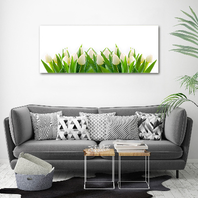 Tableau photo sur toile Tulipes blanches