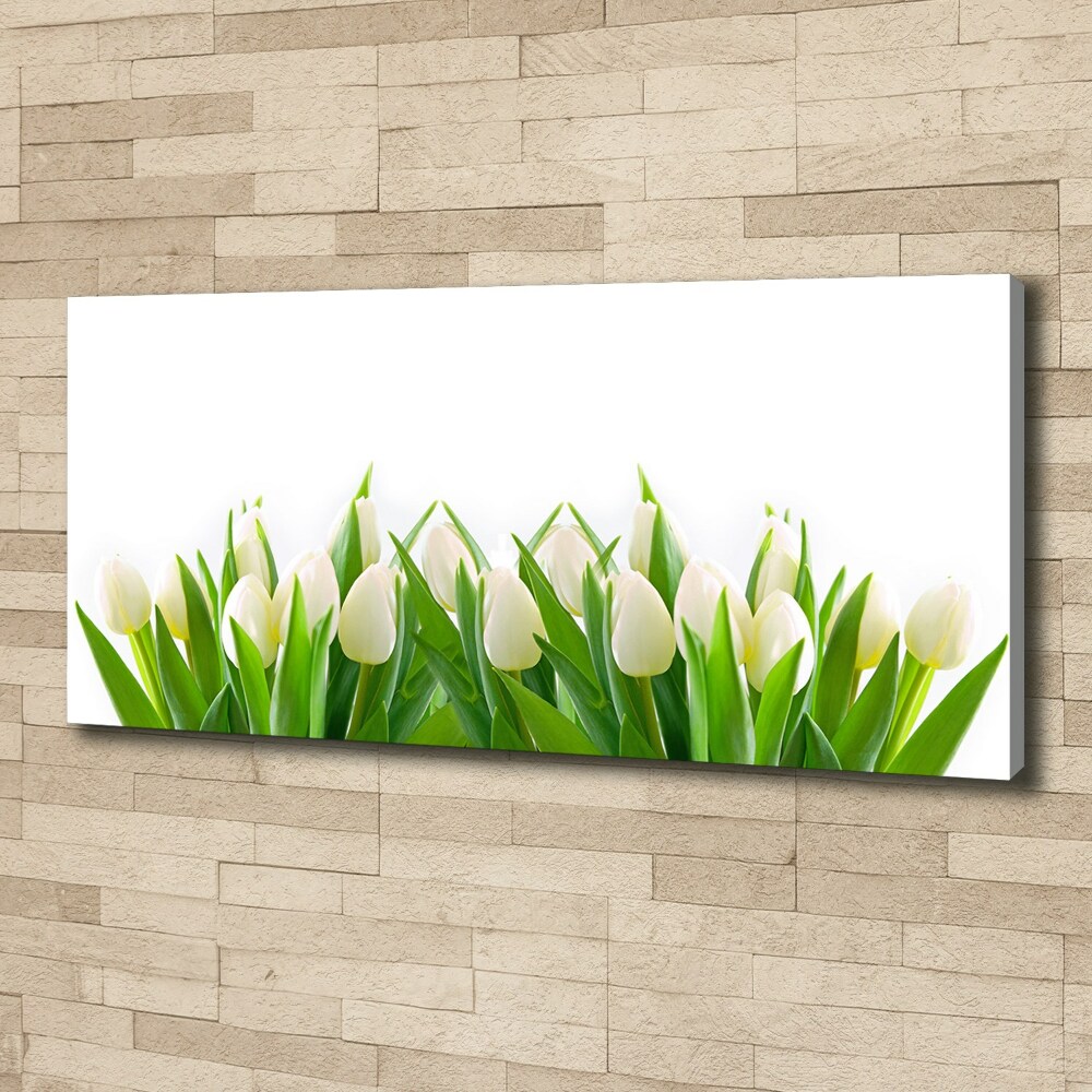 Tableau photo sur toile Tulipes blanches