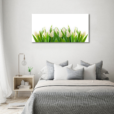 Tableau photo sur toile Tulipes blanches