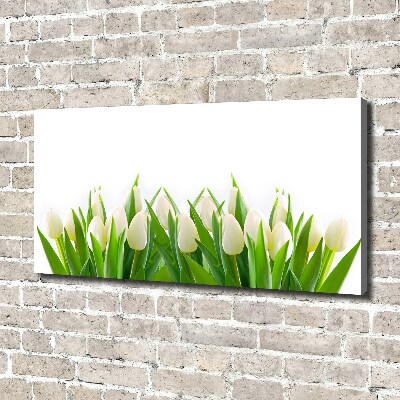 Tableau photo sur toile Tulipes blanches