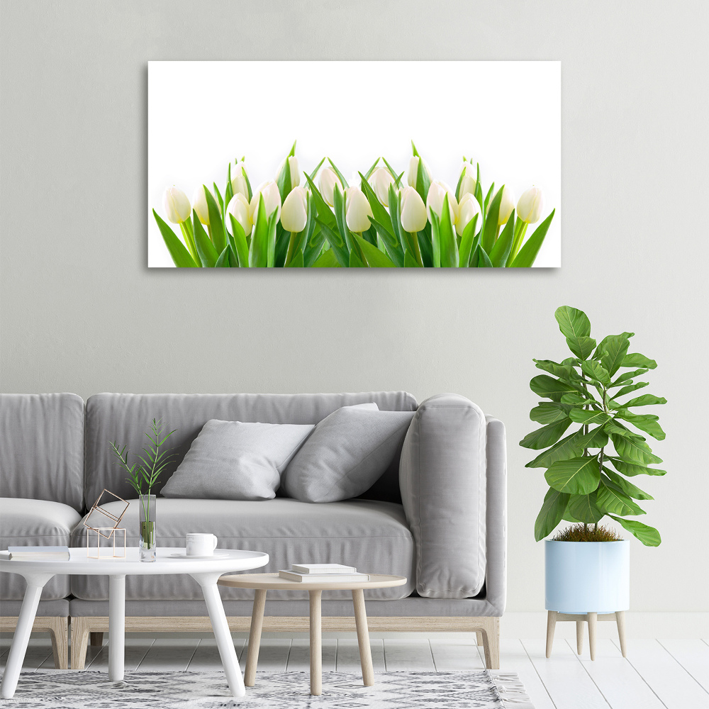 Tableau photo sur toile Tulipes blanches