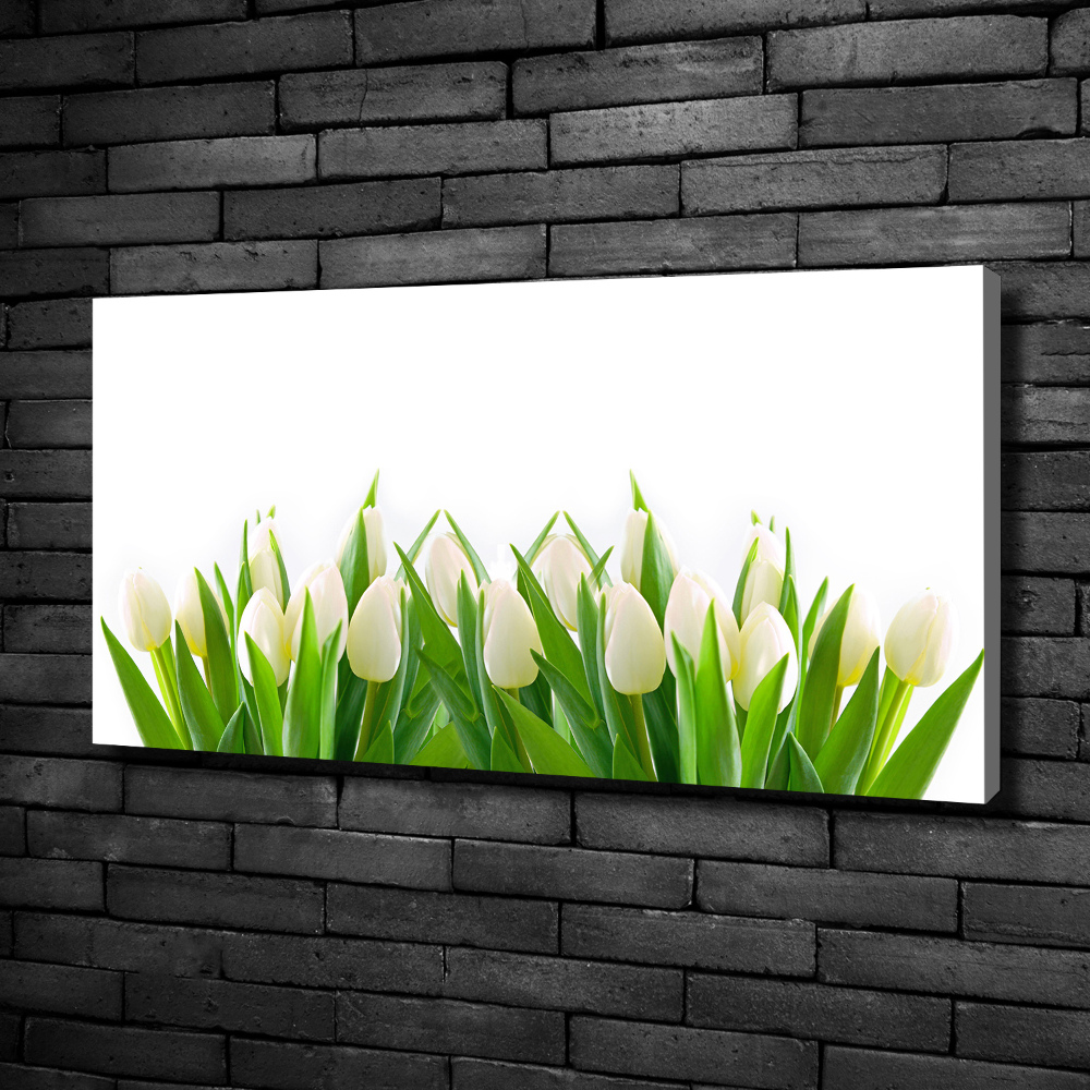 Tableau photo sur toile Tulipes blanches