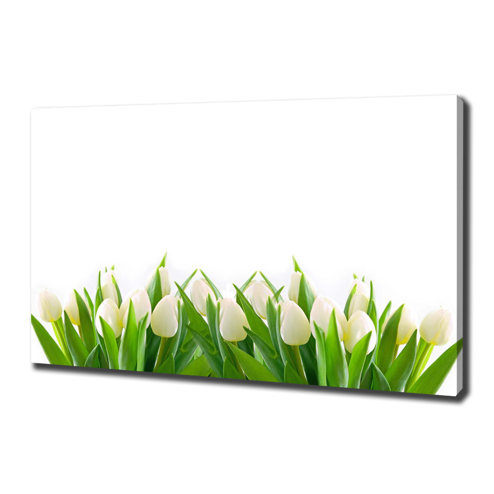 Tableau photo sur toile Tulipes blanches