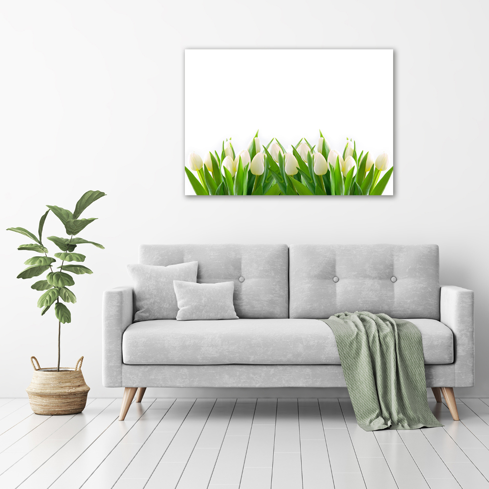 Tableau photo sur toile Tulipes blanches