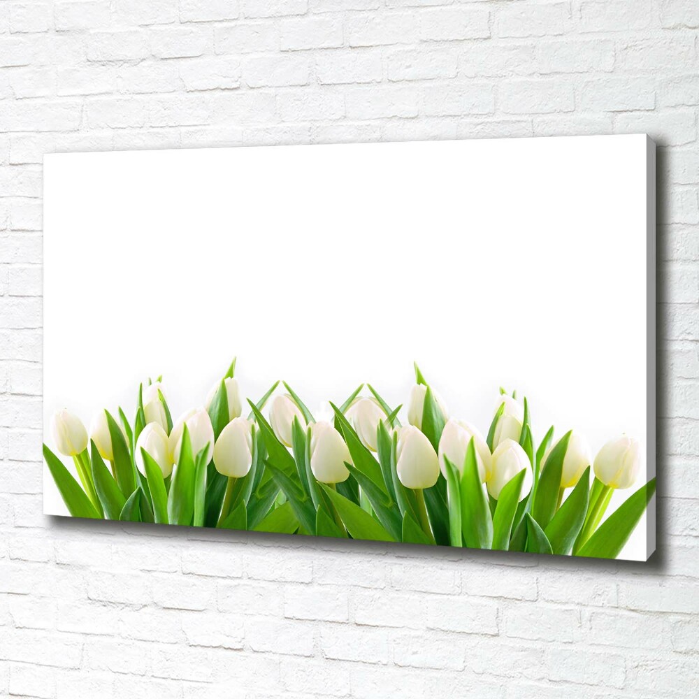 Tableau photo sur toile Tulipes blanches