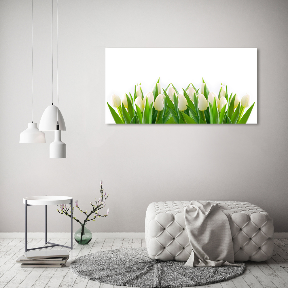 Tableau photo sur toile Tulipes blanches