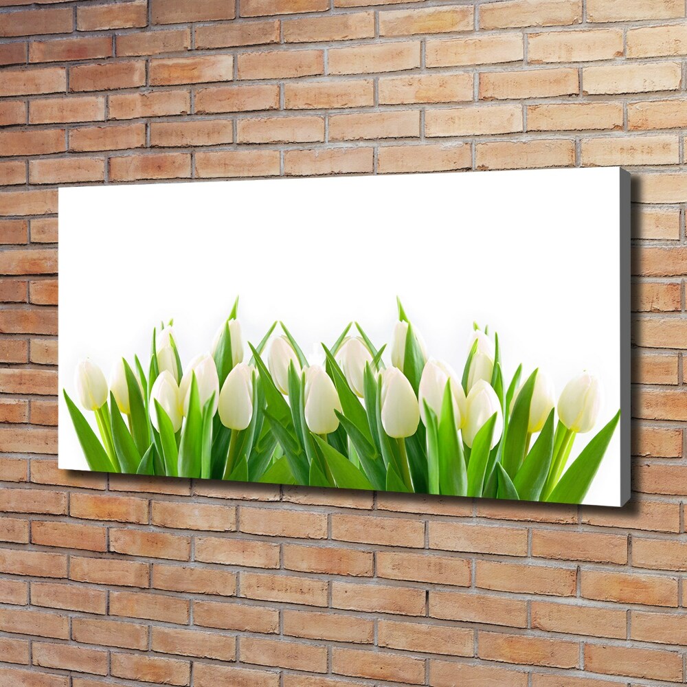 Tableau photo sur toile Tulipes blanches