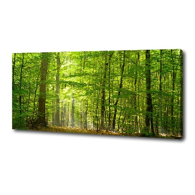 Tableau photo sur toile Forêt de feuilles