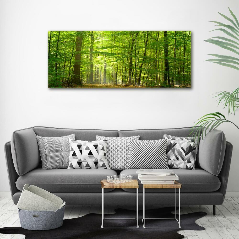 Tableau photo sur toile Forêt de feuilles