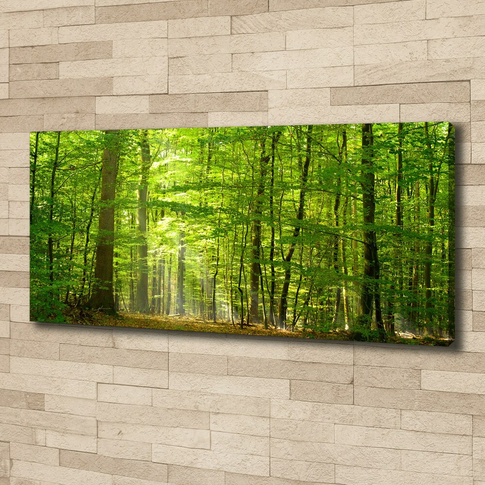 Tableau photo sur toile Forêt de feuilles