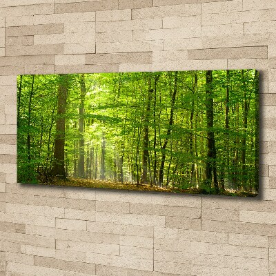 Tableau photo sur toile Forêt de feuilles