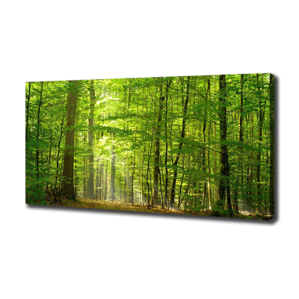 Tableau photo sur toile Forêt de feuilles