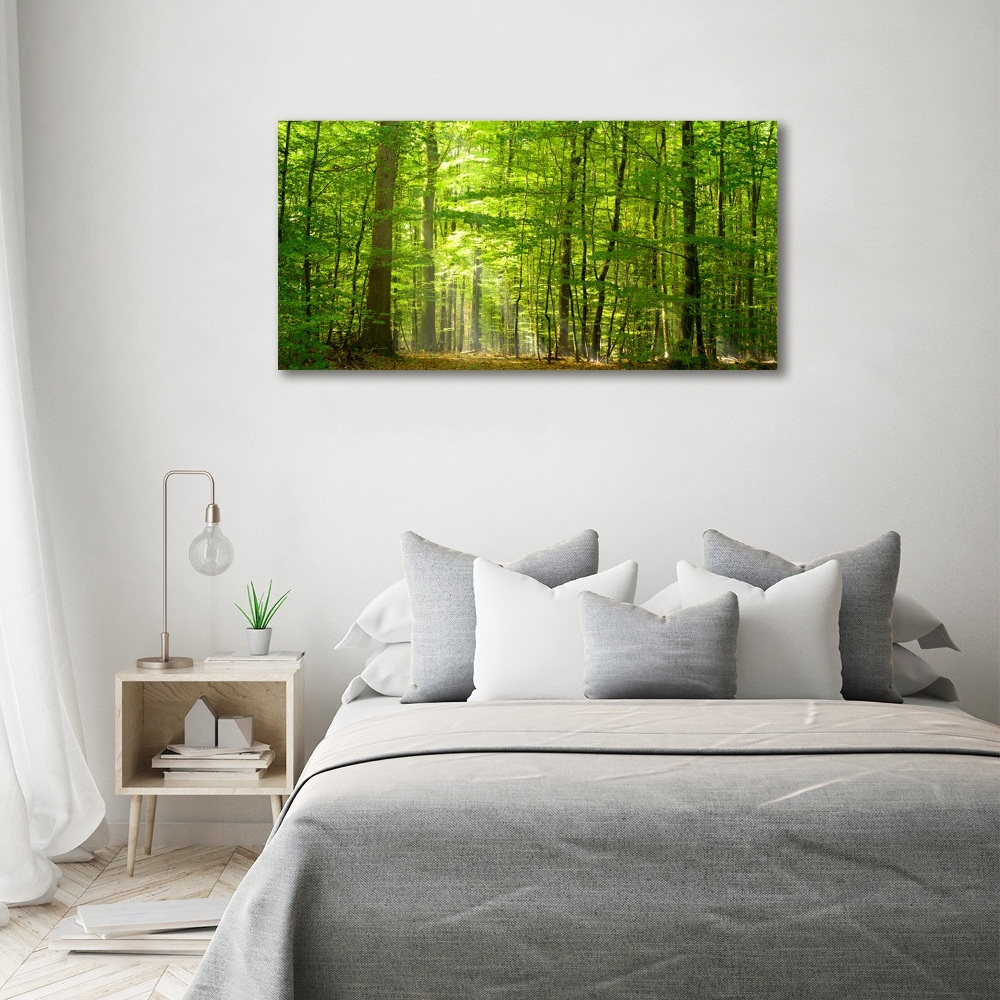 Tableau photo sur toile Forêt de feuilles