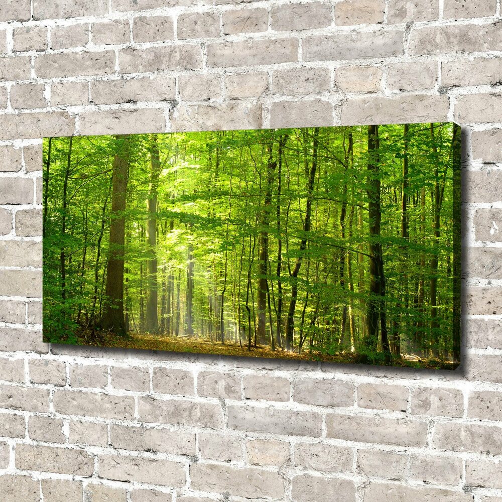 Tableau photo sur toile Forêt de feuilles