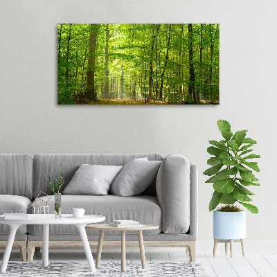 Tableau photo sur toile Forêt de feuilles