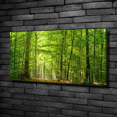 Tableau photo sur toile Forêt de feuilles