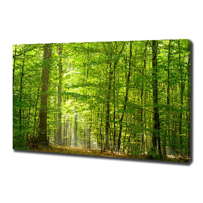 Tableau photo sur toile Forêt de feuilles