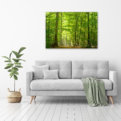 Tableau photo sur toile Forêt de feuilles