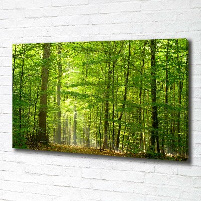 Tableau photo sur toile Forêt de feuilles