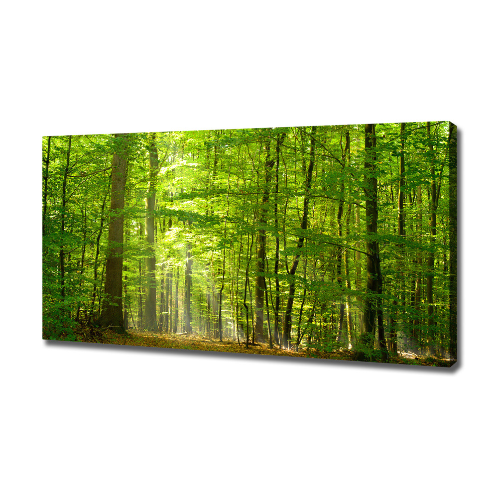 Tableau photo sur toile Forêt de feuilles