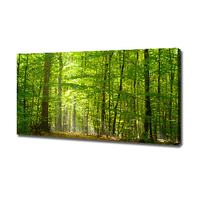 Tableau photo sur toile Forêt de feuilles