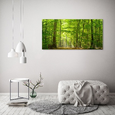 Tableau photo sur toile Forêt de feuilles