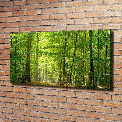 Tableau photo sur toile Forêt de feuilles