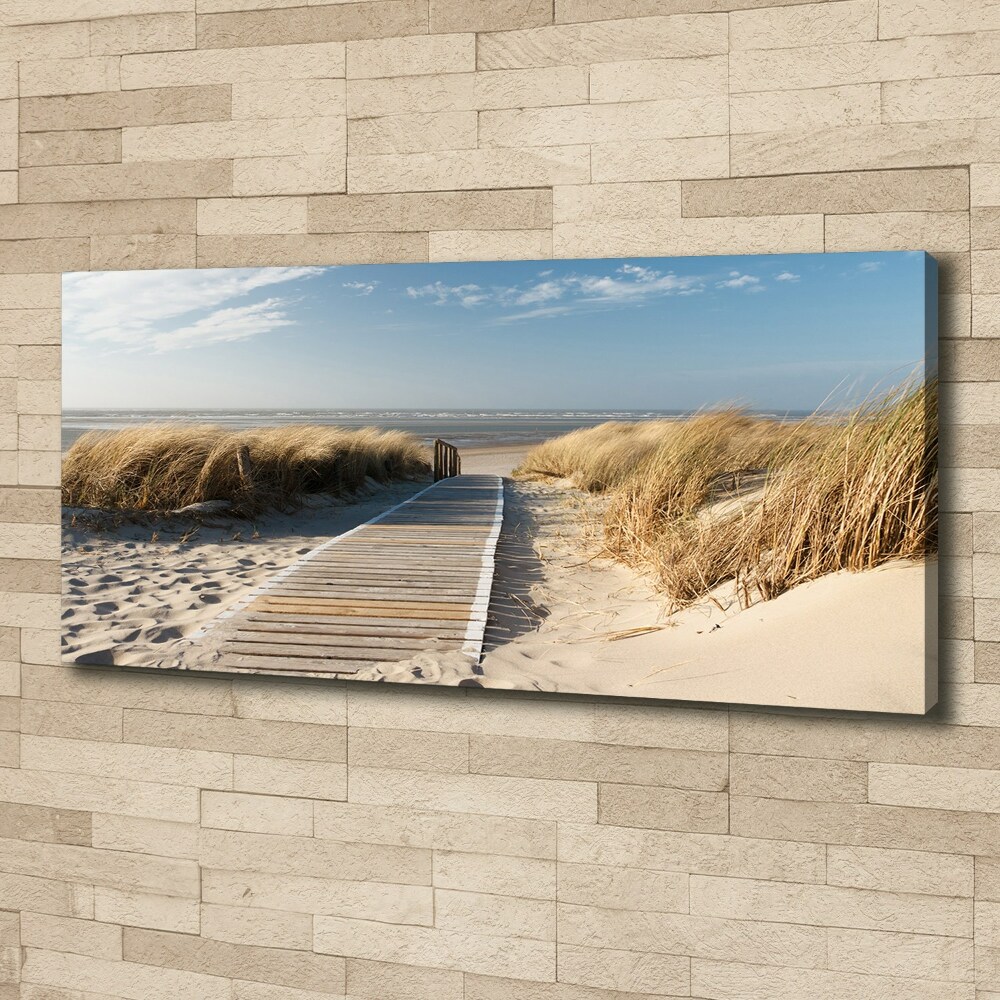 Tableau mural sur toile Chemin sur la plage