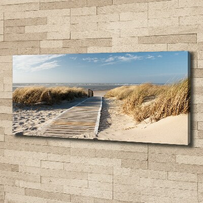 Tableau mural sur toile Chemin sur la plage