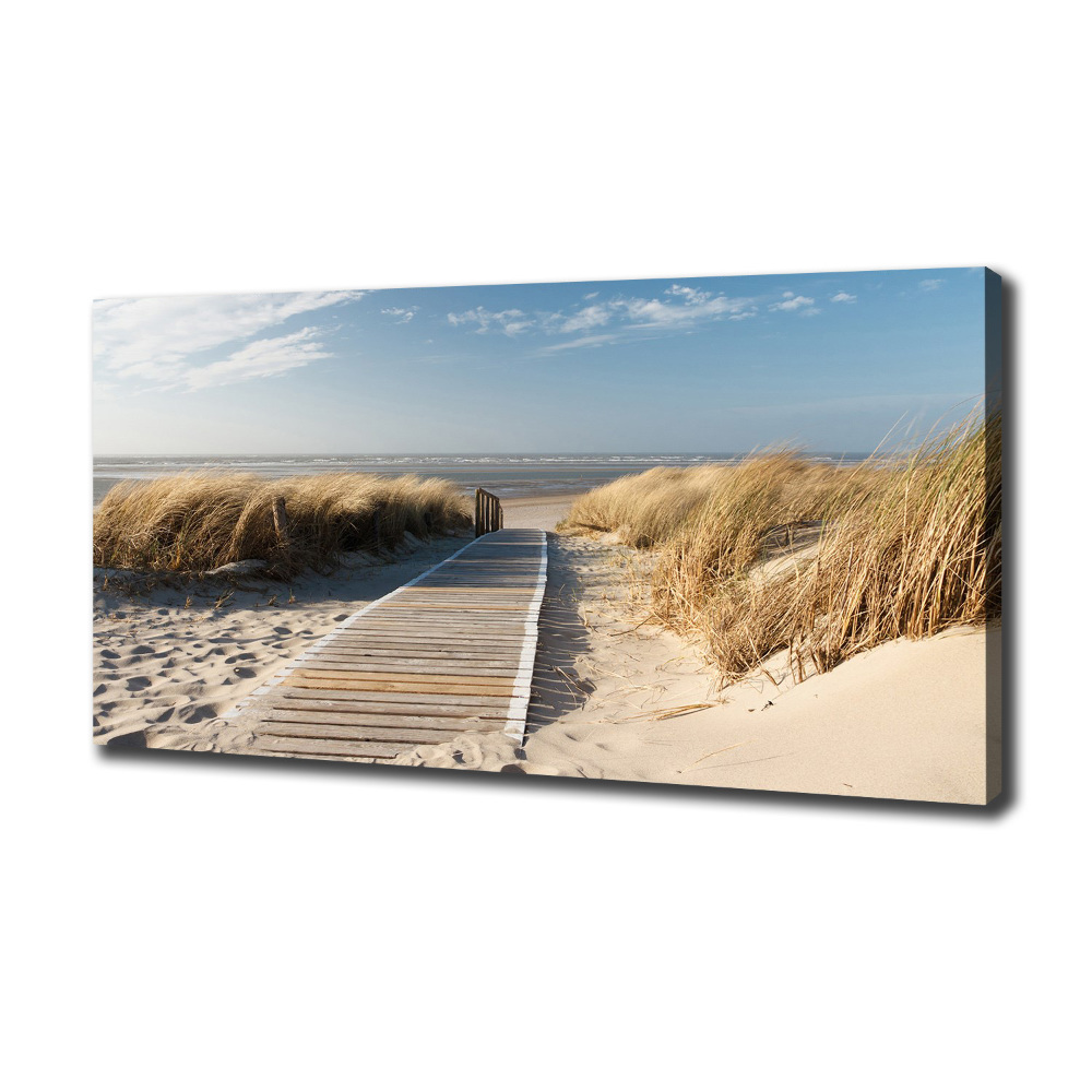 Tableau mural sur toile Chemin sur la plage