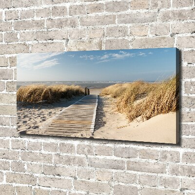 Tableau mural sur toile Chemin sur la plage