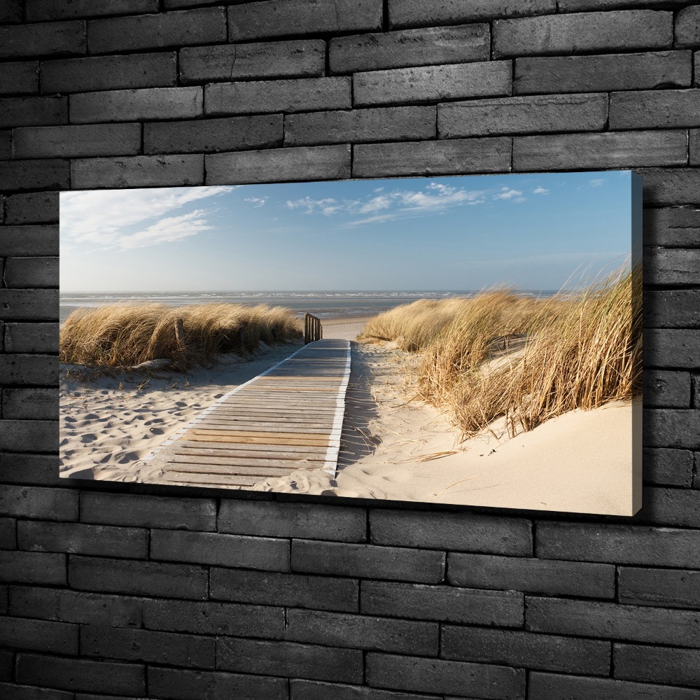 Tableau mural sur toile Chemin sur la plage