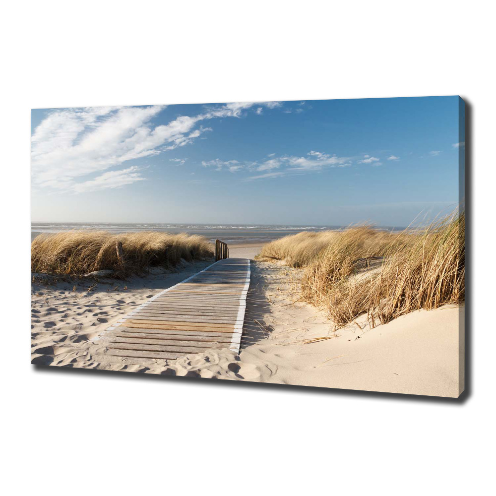 Tableau mural sur toile Chemin sur la plage