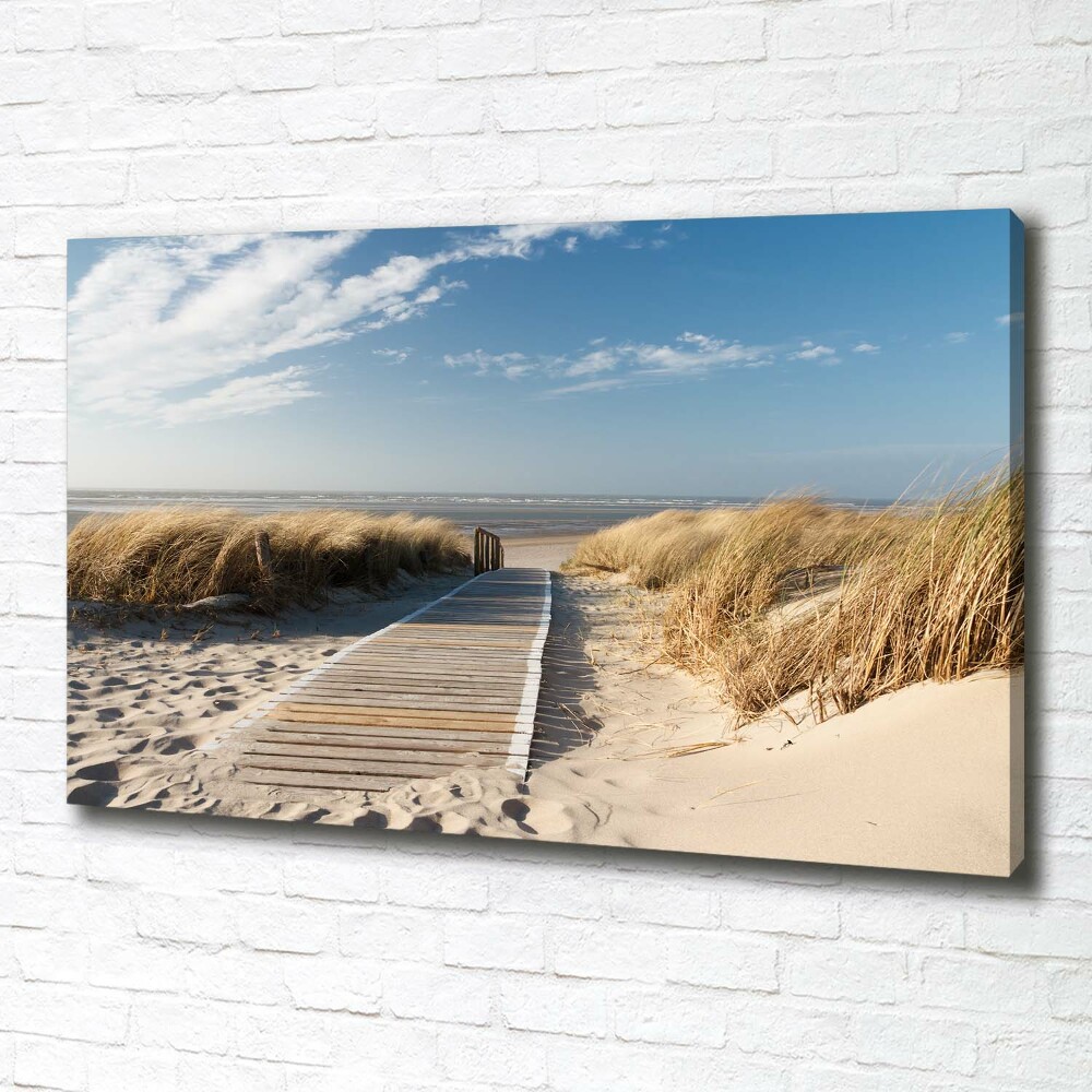 Tableau mural sur toile Chemin sur la plage