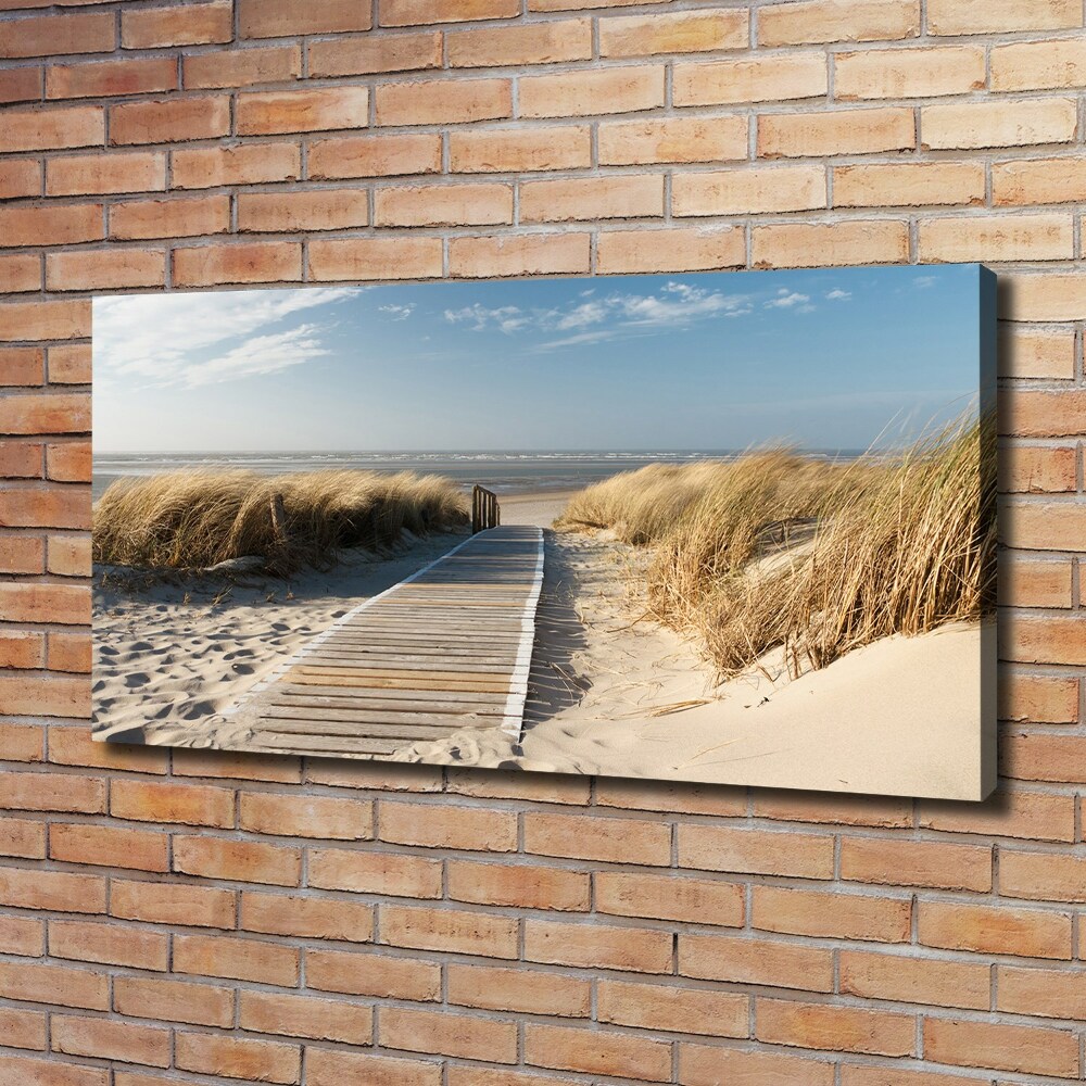 Tableau mural sur toile Chemin sur la plage