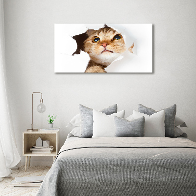 Tableau mural sur toile Chat dans un trou