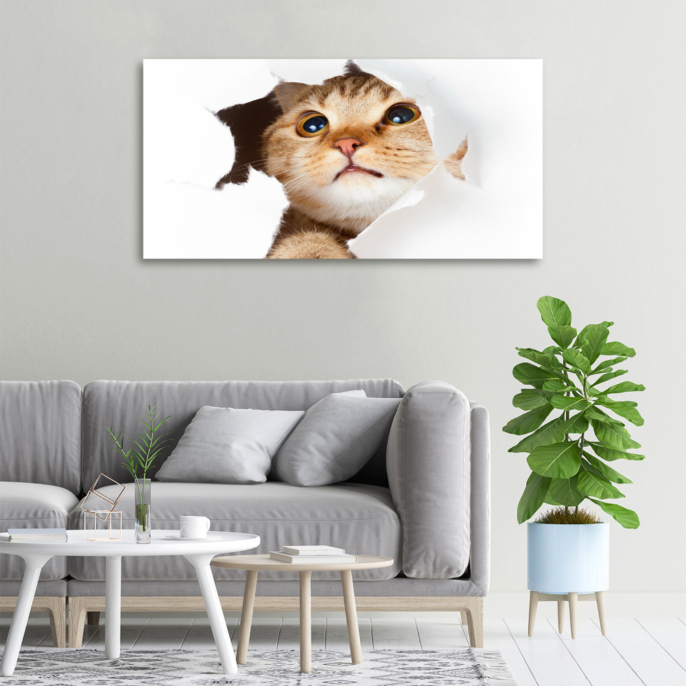 Tableau mural sur toile Chat dans un trou